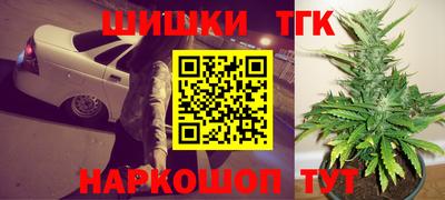 тгк Моздок