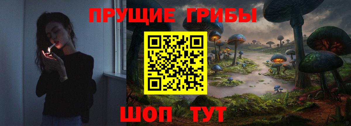 Шелехов  Галлюциногенные грибы прущие грибы  Вход с VPN 